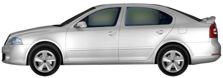   Skoda Octavia RS 1Z/A5 Sedan 2.0 TDI 2004-2010 ..