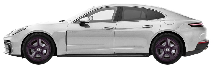   Porsche Panamera 972/976 Liftback 2.9 2024-2025 ..