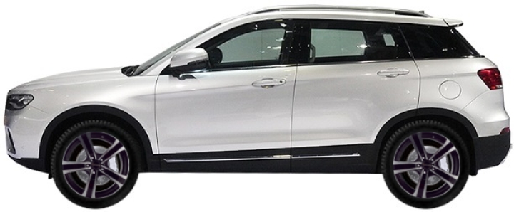   Haval H6 Coupe SUV 2.0 T 2017-2019 ..