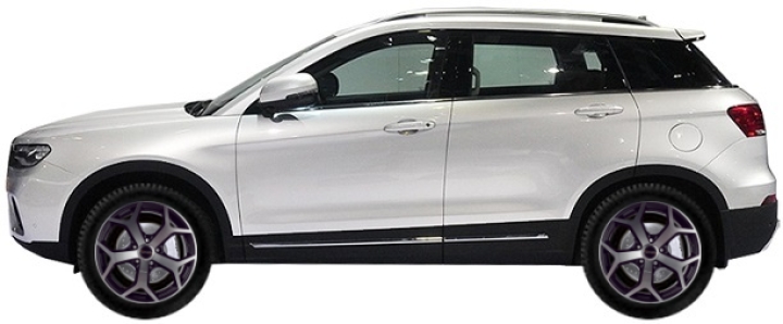   Haval H6 Coupe SUV 2.0 T 2017-2019 ..