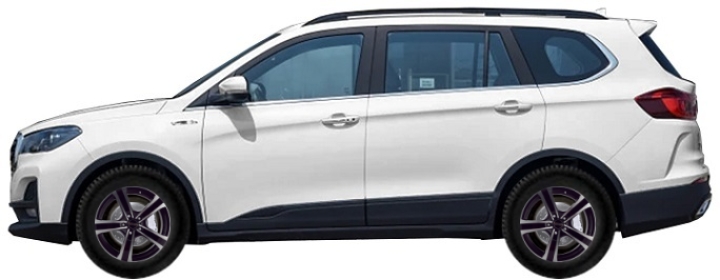   Swm G05 Pro SUV 1.5 T 2023-2025 ..