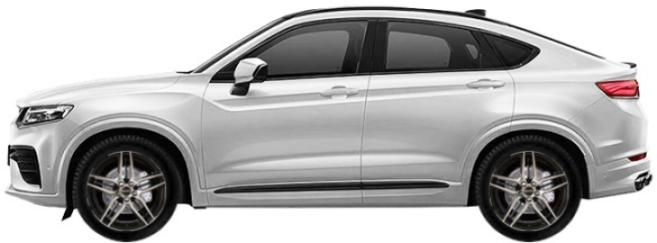  Geely Tugella SUV 2.0T 4WD 2020-2024 ..