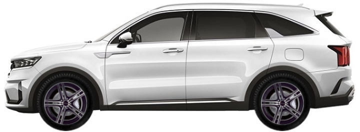   Kia Sorento MQ4 2.5 MPI 2020-2025 ..