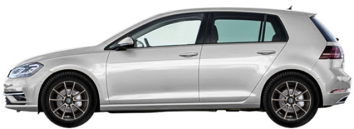   Volkswagen Golf VII AU Hatchback 5d 1.4 TSI (125 hp) 2018-2019 ..