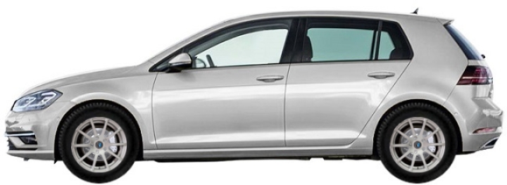   Volkswagen Golf VII AU Hatchback 5d 1.4 TSI (125 hp) 2018-2019 ..