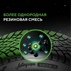 Ikon (Nokian Tyres) Autograph Snow 5