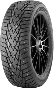  Doublestar Winterking DW01 205/65 R16 95T