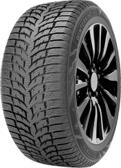  Doublestar Winterking DW08 225/55 R17 97T