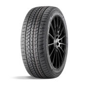  Doublestar Winterking DW02 245/60 R18 105S