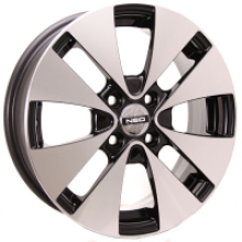 NEO 531:  BDM (     )
          